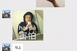 兖州企业清欠服务